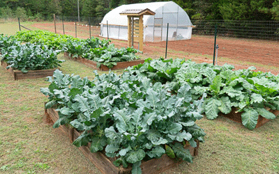 Pelzer church is making a difference in the community
