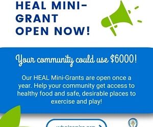 HEAL Mini-Grant maximum ask increased