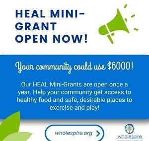 HEAL Mini-Grant maximum ask increased