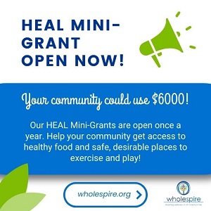 HEAL Mini-Grant maximum ask increased