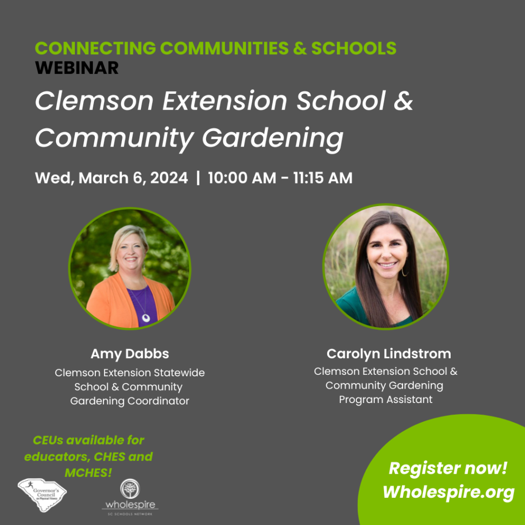 SC Schools Network Webinar