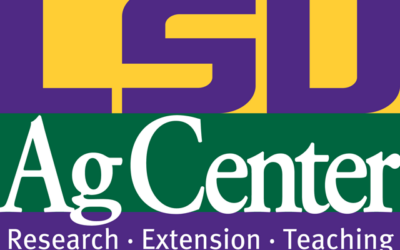 The HYPE Project® expands into Louisiana State University AgCenter, 4-H Program