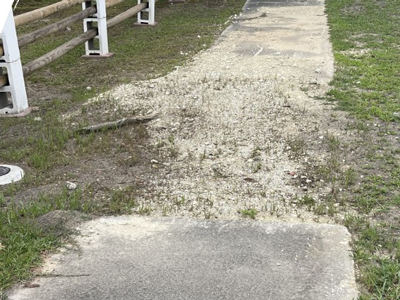 unsafe sidewalk in Lane, South Carolina